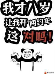 让我开网约车这对吗