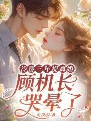 顾机长主角