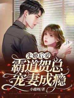 先婚后爱:霸道贺总宠妻成瘾