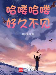 哈喽哈喽,好久不见