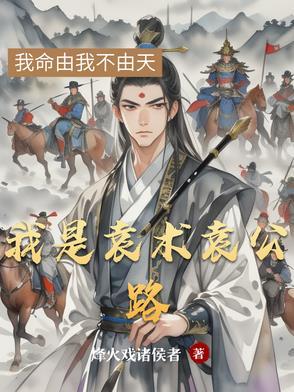 我是袁术袁公路