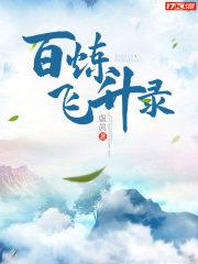 百炼飞升录