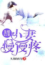 先婚后宠:小妻慢慢疼
