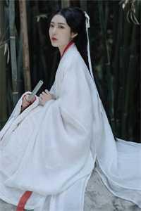 你老谋深算?我一力降十会全文赏析